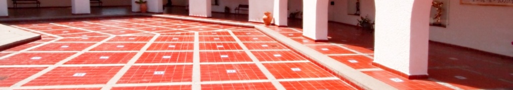 TILE CLEANING